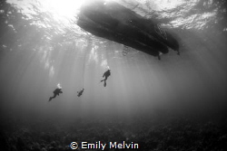 Ascending
Divers Ascending after a dive at Small Hope Ba... by Emily Melvin 